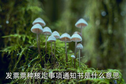 票種核定是什么，哪些情況下要進(jìn)行國稅票種核定