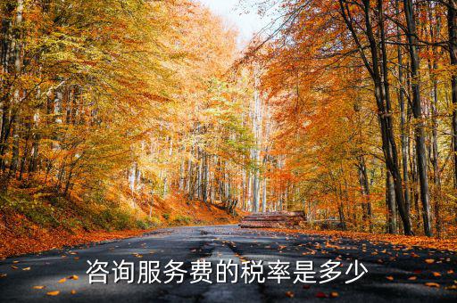 咨詢服務(wù)交什么稅，公司收到一筆咨詢費(fèi)應(yīng)該如何納稅稅率是多少急謝謝