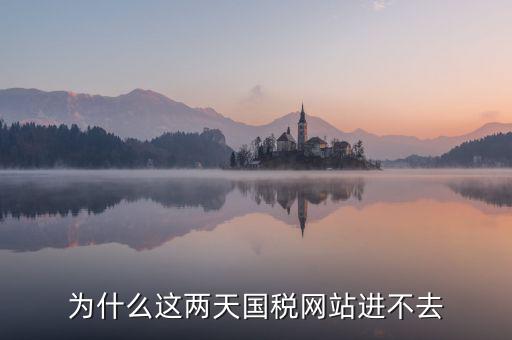 為什么濟(jì)南國稅網(wǎng)站進(jìn)不去，為什么這兩天國稅網(wǎng)站進(jìn)不去