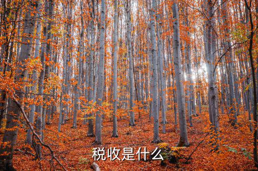 稅務的稅稅通是什么，稅收通用繳款書上的代碼指的是什么