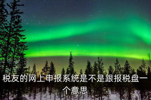 稅友的網上申報系統(tǒng)是不是跟報稅盤一個意思
