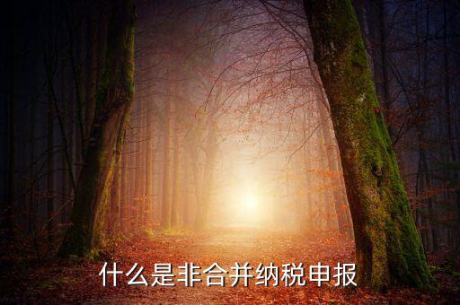 什么是非匯總納稅企業(yè)，什么是跨區(qū)經(jīng)營(yíng)匯總納稅企業(yè)