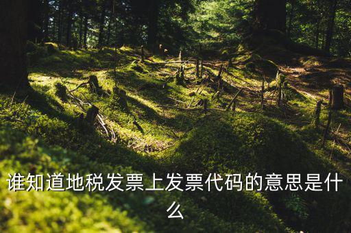 河北地稅發(fā)票的查詢碼是什么意思，如何查詢地稅發(fā)票開票點注冊碼是什么