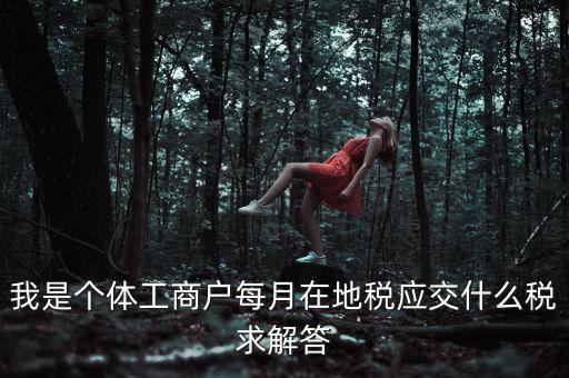 個(gè)體戶地稅局交什么稅，個(gè)體經(jīng)營(yíng)戶地稅是按什么標(biāo)準(zhǔn)收費(fèi)的