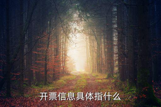 什么是開(kāi)票信息，word開(kāi)票信息是什么意思