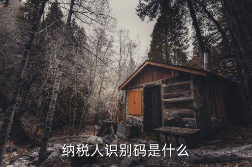 稅務(wù)識別碼有什么用，納稅人識別碼是什么