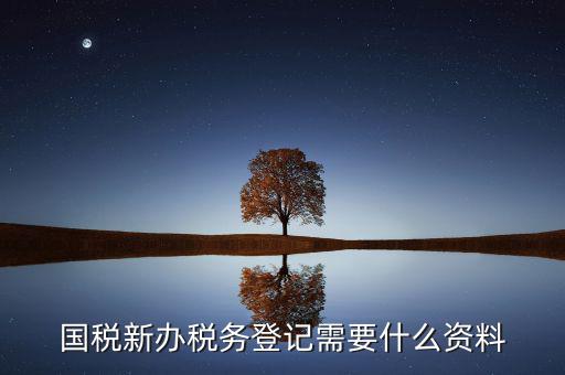 辦理國(guó)稅都需要帶什么，國(guó)稅登記需要帶什么資料