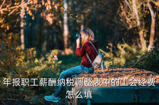 工會(huì)經(jīng)費(fèi)減除項(xiàng)填什么，網(wǎng)上報(bào)稅時(shí)又多了一項(xiàng)工會(huì)經(jīng)費(fèi)怎樣填寫計(jì)算