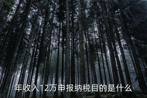 為什么12萬要報(bào)稅，年收入12萬個(gè)稅申報(bào)為什么要申報(bào)