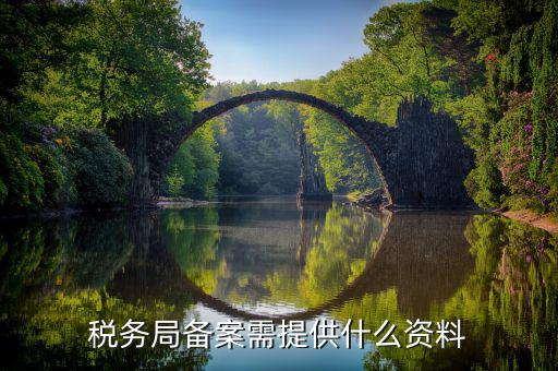 稅務局備案需提供什么資料