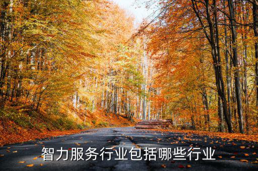 涉稅專(zhuān)業(yè)服務(wù)機(jī)構(gòu)包括什么，智力服務(wù)行業(yè)包括哪些行業(yè)