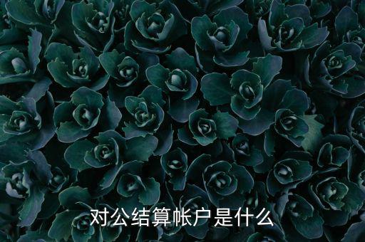 什么是稅務待結算賬戶，結算賬戶有哪些