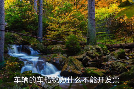 為什么車船稅沒有發(fā)票，車輛的車船稅為什么不能開發(fā)票