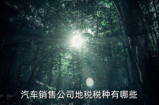 銷售汽車繳納什么稅，一般納稅人公司銷售使用過的汽車要交哪些稅
