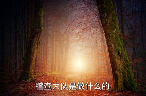 學校稽查部是什么意思，稽查大隊是做什么的