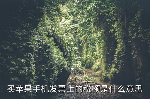 發(fā)票上的稅額是什么意思，買蘋果手機(jī)發(fā)票上的稅額是什么意思