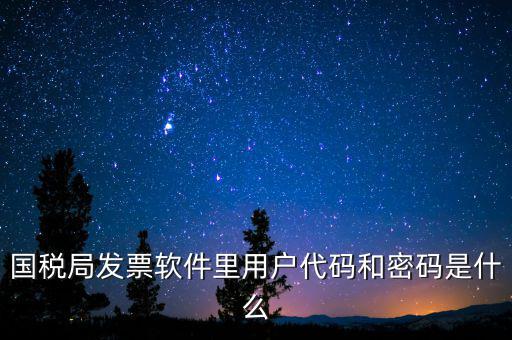 登錄稅務開票密碼是什么，國稅第一次網(wǎng)上申報的登陸密碼是什么