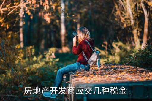 房地產(chǎn)公司交什么稅，房地產(chǎn)公司都要交什么稅