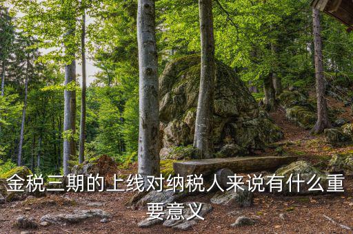 金三稅系統(tǒng)什么時(shí)間上線的，2016年金稅三期上線那金稅三期到底是啥呢