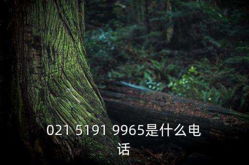 電稅中心是什么意思，021 5191 9965是什么電話