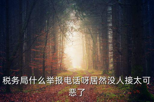 稅務局什么舉報電話呀居然沒人接太可惡了
