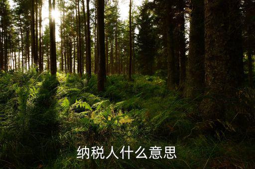 納稅資格什么意思，具有納稅人資格是什么意思