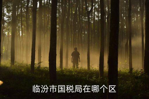 臨汾市國稅局在哪個(gè)區(qū)