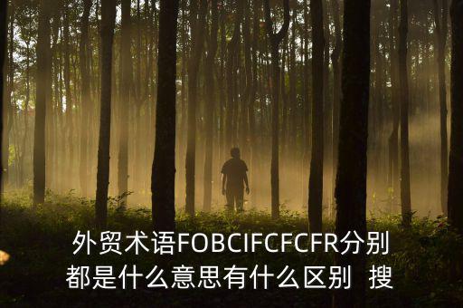 什么是被指定國別報告，什么是SGS