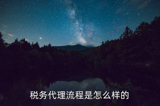 稅務(wù)代理人需要什么，代理到稅務(wù)機(jī)關(guān)開票需要哪些證件