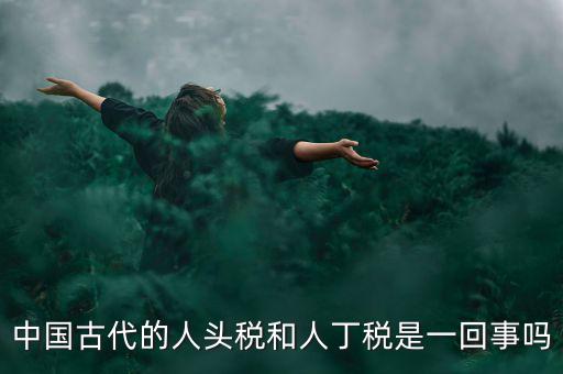 古代的稅是什么，稅收在我國歷史悠久古代的估稅現(xiàn)在叫什么