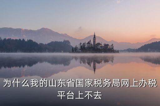 為什么登陸不了網(wǎng)上辦稅廳，為什么我的山東省國家稅務(wù)局網(wǎng)上辦稅平臺上不去