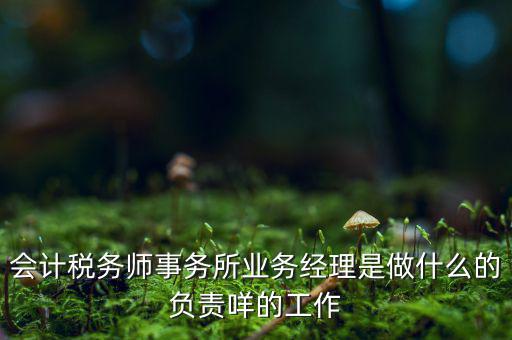 稅務(wù)師事務(wù)所做什么的，稅務(wù)所是干什么的
