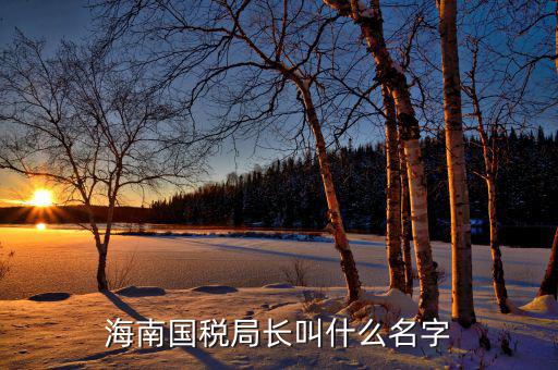 云巖國稅局局長姓什么，太原尖草坪區(qū)國稅分局負責人叫什么名字