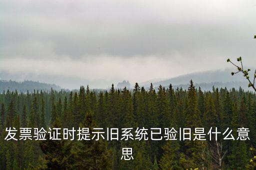 發(fā)票驗(yàn)證時提示舊系統(tǒng)已驗(yàn)舊是什么意思