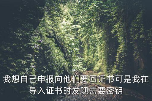 報(bào)稅為什么要用到密鑰，我想自己申報(bào)向他們要回證書(shū)可是我在導(dǎo)入證書(shū)時(shí)發(fā)現(xiàn)需要密鑰