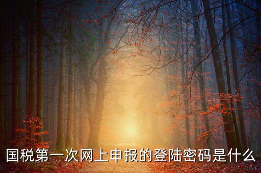國稅申報登陸密碼是什么，國稅第一次網(wǎng)上申報的登陸密碼是什么