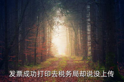 發(fā)票成功打印去稅務(wù)局卻說(shuō)沒(méi)上傳
