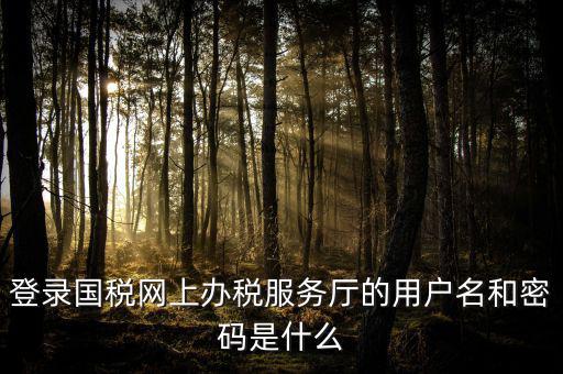 國稅網(wǎng)上登錄密碼是什么意思，國稅第一次網(wǎng)上申報的登陸密碼是什么
