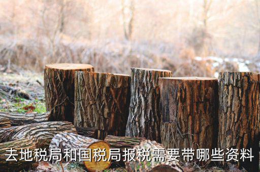 地稅局交稅需要什么，去地稅局繳納營(yíng)業(yè)稅金及附加需要帶什么資料