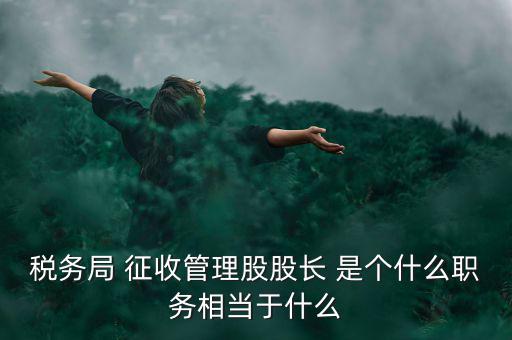 稅務(wù)局 征收管理股股長(zhǎng) 是個(gè)什么職務(wù)相當(dāng)于什么