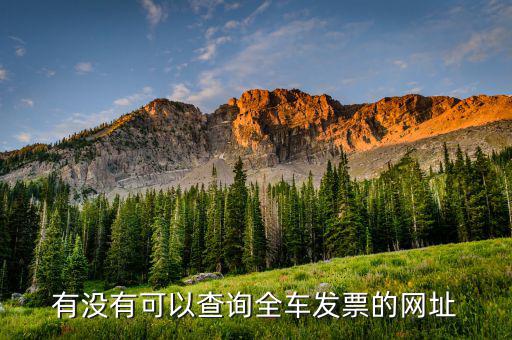 有沒有可以查詢全車發(fā)票的網(wǎng)址