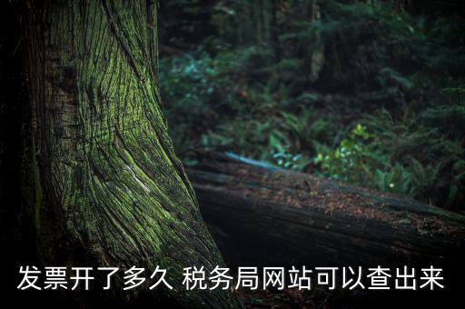 稅局一般什么時候查發(fā)票，增值稅發(fā)票開多久能在國家稅務(wù)局查到