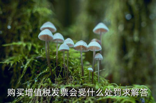 購(gòu)買增值稅發(fā)票會(huì)受什么處罰求解答