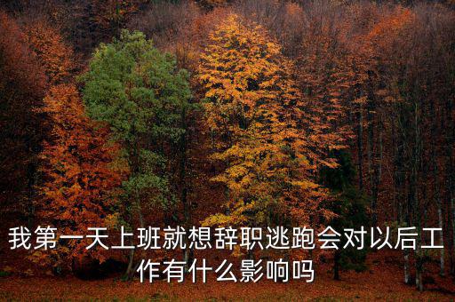 公司走逃會(huì)有什么后果，企業(yè)走逃對(duì)財(cái)務(wù)有甚么影響