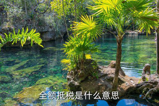 什么叫全額抵p，增值稅的全額抵扣是什么意思