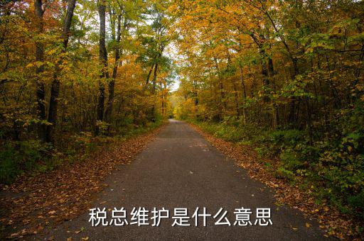 涉稅軟件維護費是什么東東，稅總維護是什么意思