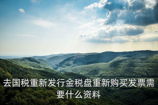 去國(guó)稅重新發(fā)行金稅盤(pán)重新購(gòu)買發(fā)票需要什么資料