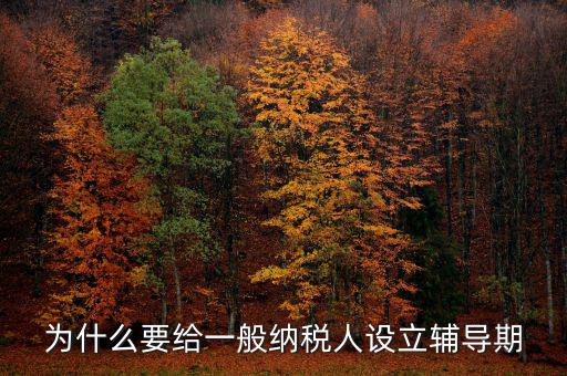 為什么增值稅輔導(dǎo)期，什么是輔導(dǎo)期一般納稅人
