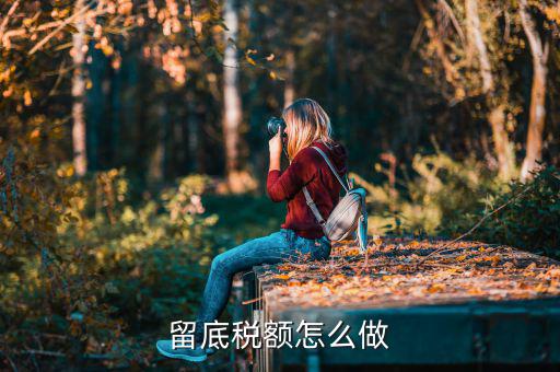 掛賬留底稅額是什么意思，留底稅額怎么做