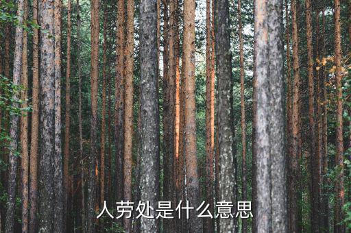 勞務處是什么意思，人勞處是什么意思
